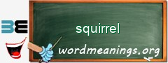 WordMeaning blackboard for squirrel